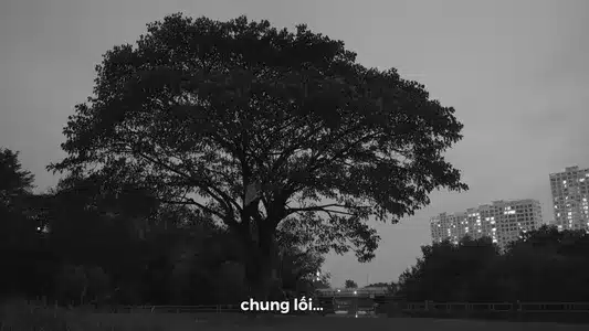 Gió Lyrics [English Translation] | Themèo