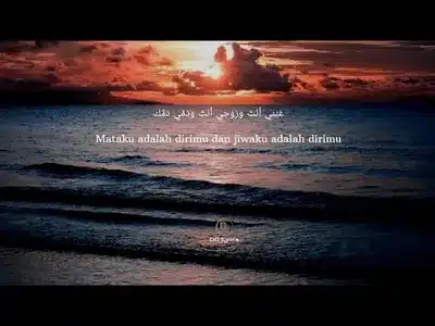 Habeb L Rooh Lyrics English (Translation) — Mohamed Sa3Eed