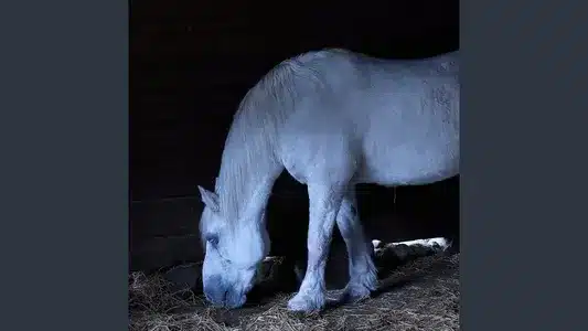 Haneda Lyrics Meaning (in English) – Kzm