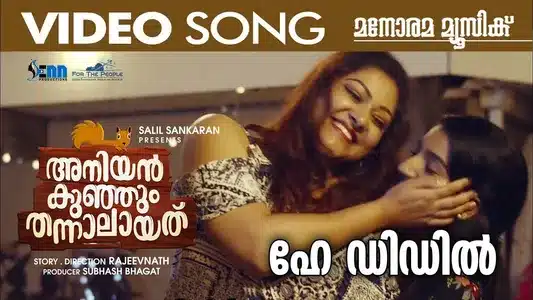 Hei Diddle Lyrics Meaning — Aniyankunjum Thannalayathu | Mamtha Mohandas