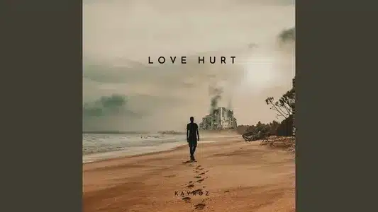 Hold My Faith Lyrics (English Meaning) – Kayroz