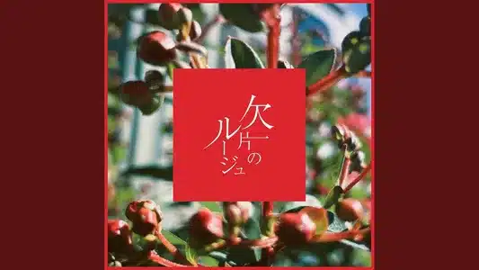 Kakera No Rouge Lyrics Translation – Melt | Bokula.