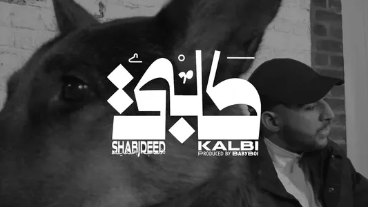 Kalbi Lyrics [English Meaning] - Shabjdeed