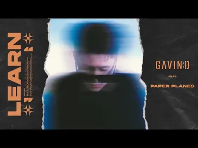 Learn Lyrics With English Translation - Gavin