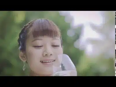 Les Champs-Élysées Lyrics {English Meaning} — Strange Reitaro