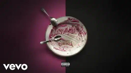 Llenadera Lyrics (with English Meaning) — Joaquin Coronel