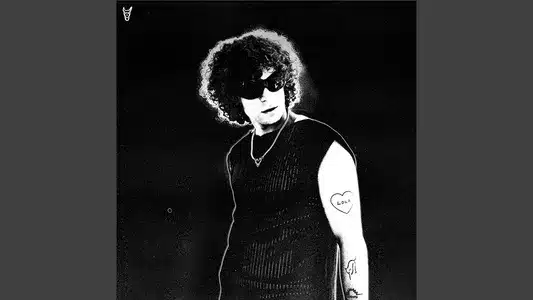 María, Me Tienes Loco Lyrics (English Meaning) - Ant Cosmos