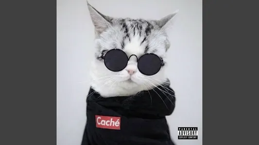 Miau Lyrics (with English Meaning): Caché | Ccf