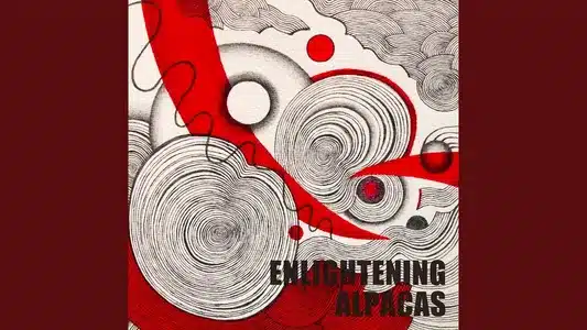 Mirror Ball Lyrics Translation - Enlightening | Alpacas