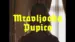 Mravljooka Pupica Lyrics English Meaning: Rktrd Ndrd | Let 3