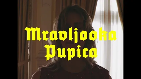 Mravljooka Pupica Lyrics English Meaning: Rktrd Ndrd | Let 3
