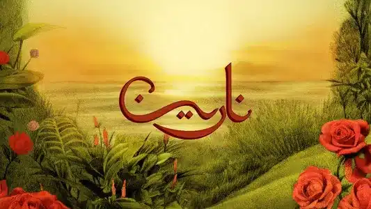 Narein Lyrics English (Translation) — Tul8Te