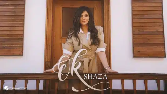Ok Lyrics Translated to English — Shaza