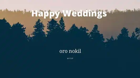 Oru Nokil Lyrics Translation – Happy Wedding | Haricharan