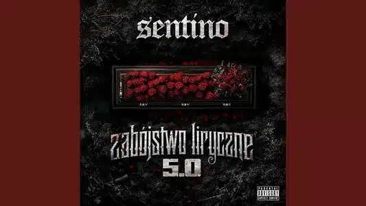 Ostatni Raz Lyrics Meaning: Zabójstwo Liryczne 5 | Bnp | Sentino