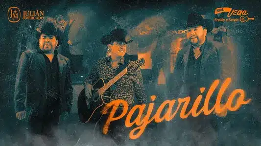 Pajarillo Lyrics English (Translation) — Hermanos Vega Jr. | Julián Mercado