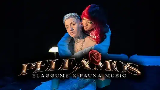 Peleamos Lyrics (English Meaning) - Elaggume | Fauna Music