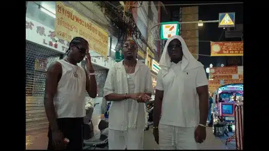 Pélican Lyrics Translation | Nés Pour Briller : Book I | L2B