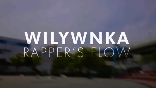 Rapper's Flow Pt.2 Lyrics With English Translation — Wilywnka