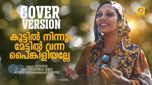 Ravinnin Lavala Lyrics Translation | Jailer | Rjiya Riya