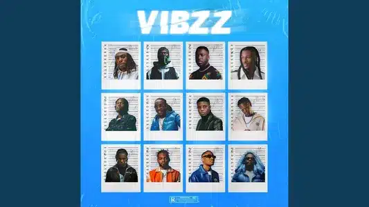 Roof Lyrics English Meaning: Vibzz | Ninho