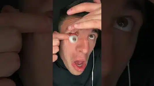 Running Into Spring Lyrics (English Meaning) - Pail Out