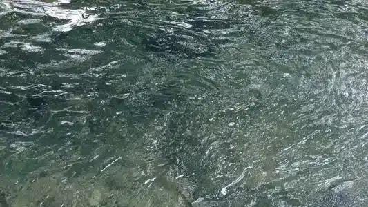 Sagip Lyrics [English Translation] – Jan Roberts