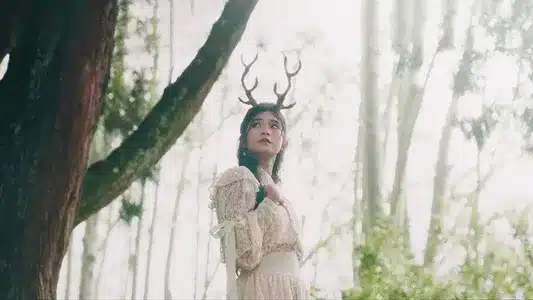 Sekedar Mengagumi Lyrics Translation – Seruni | Daun Jatuh