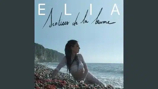 Sentiers De La Brume Lyrics Meaning – Héroïne(S) | Elia