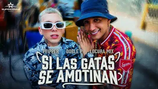 Si Las Gatas Se Amotinan Lyrics (English Meaning) — Doblep | Peipper