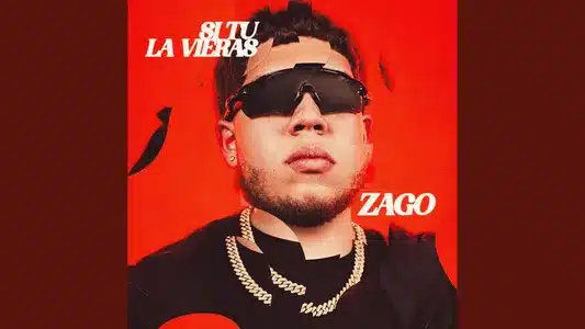 Si Tu La Vieras Lyrics (with English Meaning) - Zago