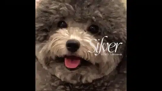 Silver Lyrics [English Translation] – 10Cm | Tj Monterde