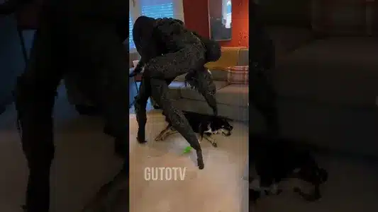 Sinto Muito Lyrics Translation (in English) — Inês Apenas