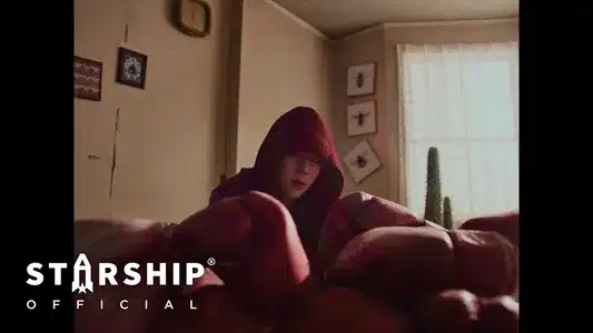 Sting Lyrics English Meaning | 光 (Insanity) | Joohoney