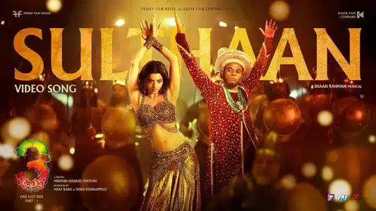 Sulthaan Lyrics English Meaning — Aadu 3 | Anila Rajeev