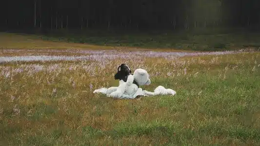 Sumbua Lyrics English Translation — Swakacha | Ally Fresh | Dj Mura K.E