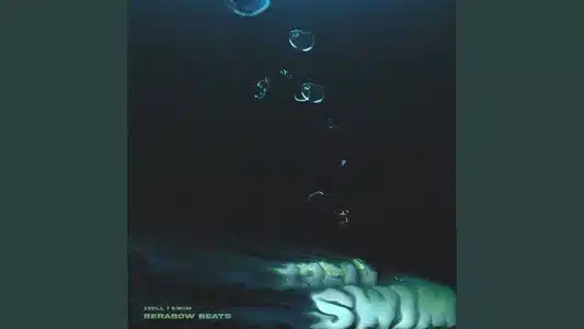 Swim Lyrics Translated to English — 13Ell