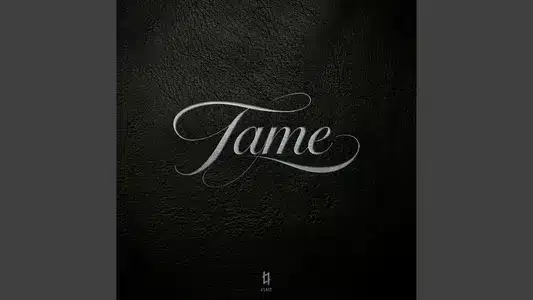 Tame Lyrics [English Translation] – E’Last