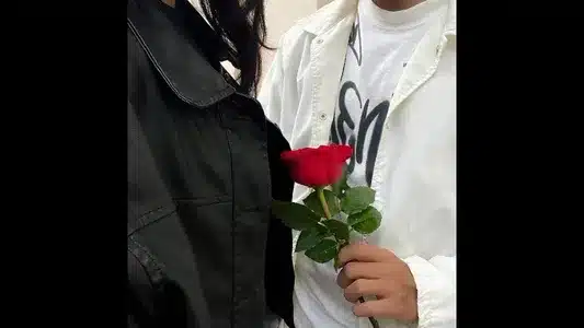 Tặng Em Đoá Hoa Hồng Lyrics [English Meaning] — Dacol | Wang An Nan