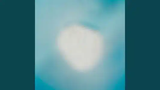 Tatoushi Lyrics Translation – Motherland | Mari Fukushige