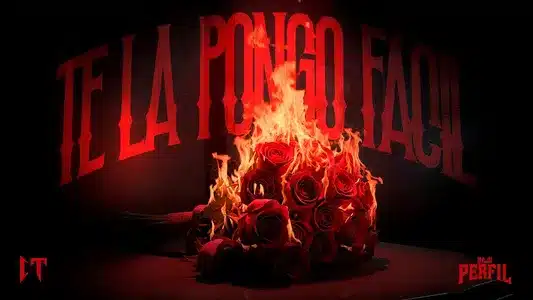 Te La Pongo Fácil Lyrics English (with Translation) – Bajo Perfil