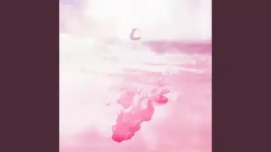 Tears Lyrics Meaning - Flavors | Marcy