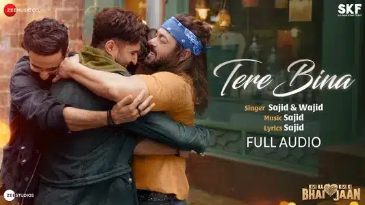 Tere Bina Lyrics Meaning — Kisi Ka Bhai Kisi Ki Jaan | Sajid-Wajid