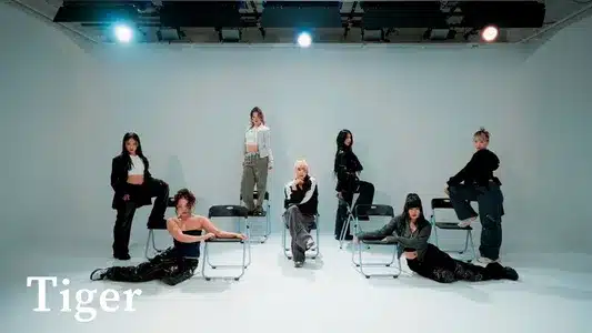 Tiger Lyrics Translation (in English) | Hana