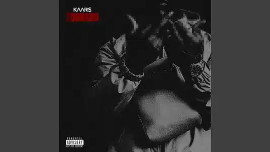 Tonnano Lyrics [English Meaning]: Kaaris