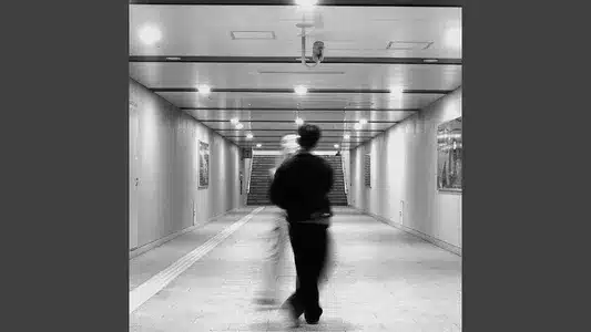 Trafalgar D. Law Lyrics [English Meaning]: Bewata | Don Raemo