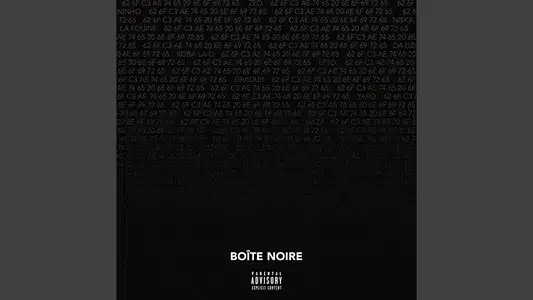 Treillis Lyrics Meaning - Boîte Noire | Boîte Noire | Ninho