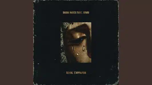 Tu Vis, T'Apprends Lyrics {English Meaning} — Dinos | Richie Beats