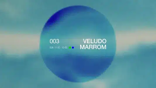 Veludo Marrom Lyrics English Translation - Caju | Liniker