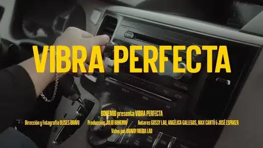 Vibra Perfecta Lyrics English (with Translation) | Bohemio